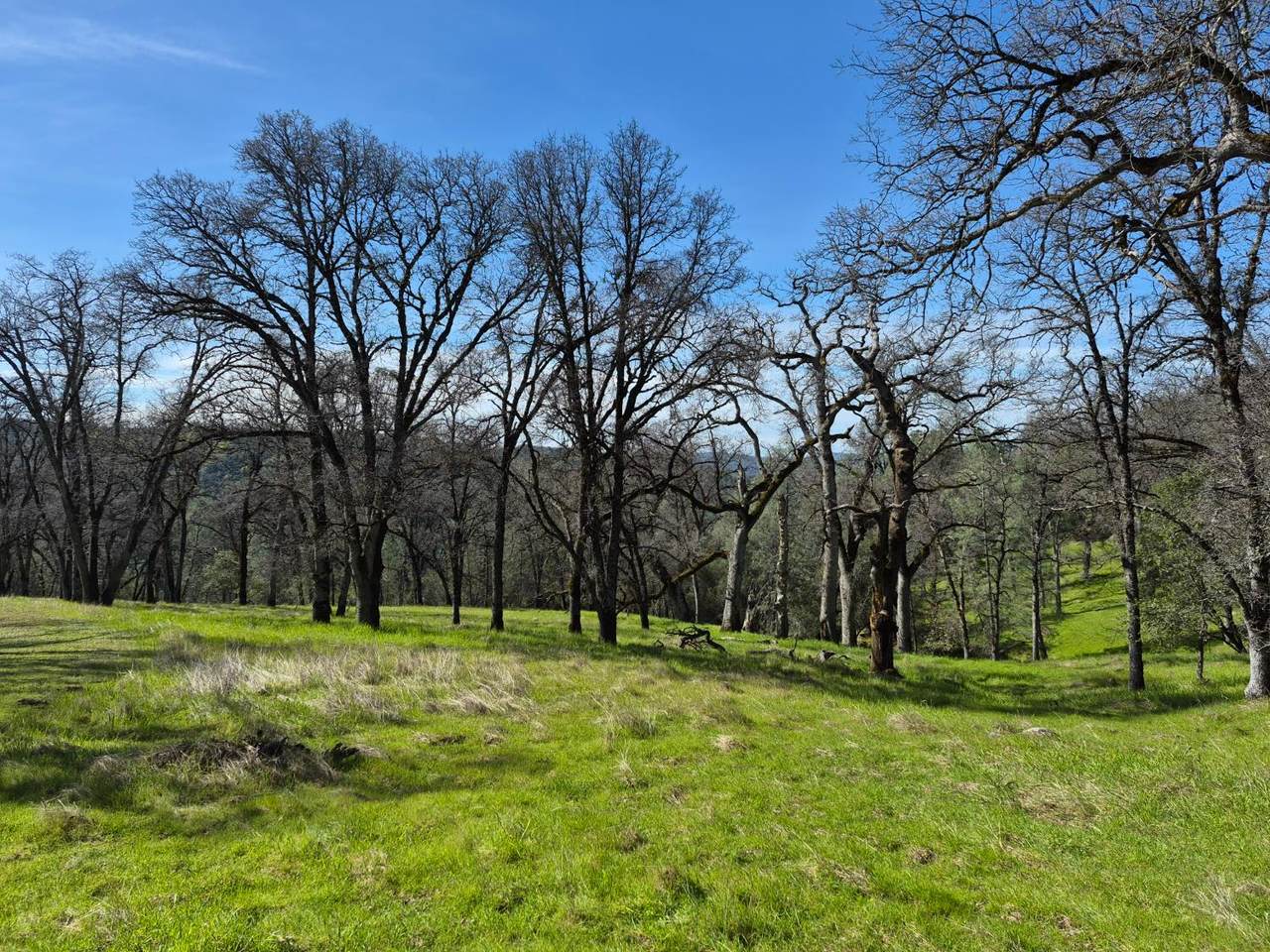 7411 Riverbend Drive - Photo 1