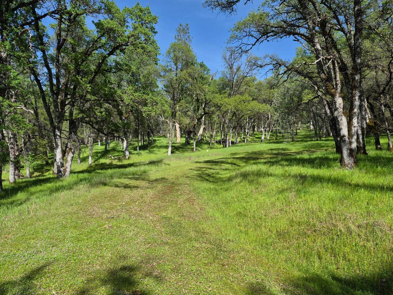 https://bt-photos.global.ssl.fastly.net/sacramento/1280_boomver_3_561043273-2.jpg