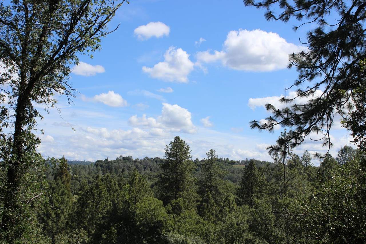 https://bt-photos.global.ssl.fastly.net/sacramento/1280_boomver_3_561073721-2.jpg