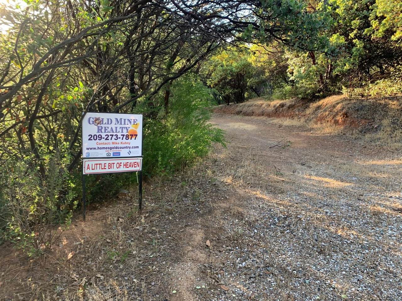 0 Wildflower Lane - Photo 1