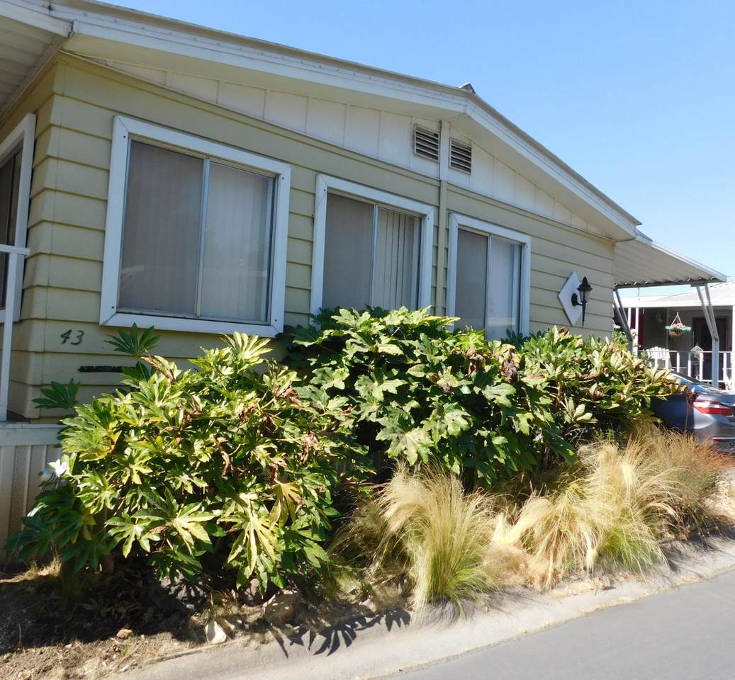 43 Rio Vista Drive - Photo 1