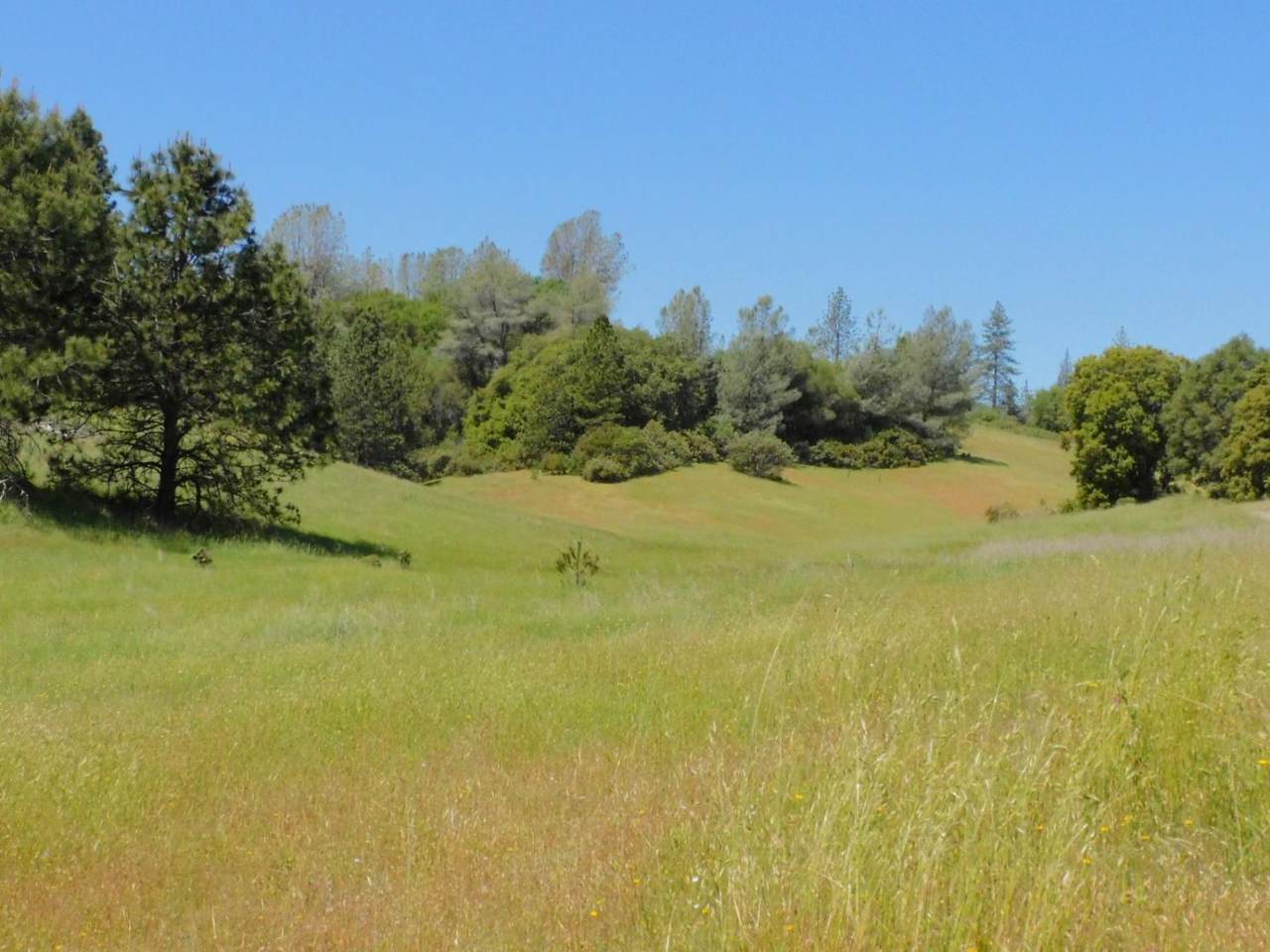 https://bt-photos.global.ssl.fastly.net/sacramento/1280_boomver_2_560873159-2.jpg