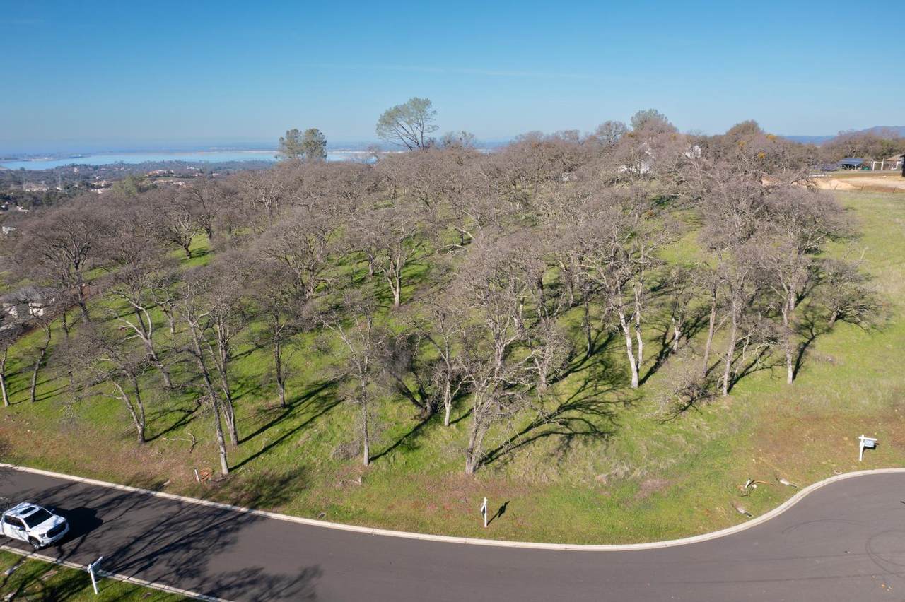 https://bt-photos.global.ssl.fastly.net/sacramento/1280_boomver_4_560960952-2.jpg
