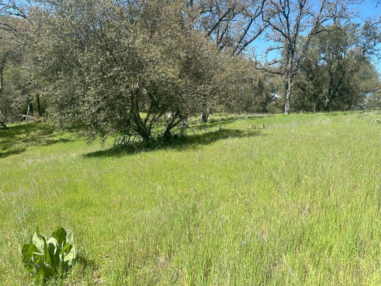 https://bt-photos.global.ssl.fastly.net/sacramento/1280_boomver_4_560964383-2.jpg