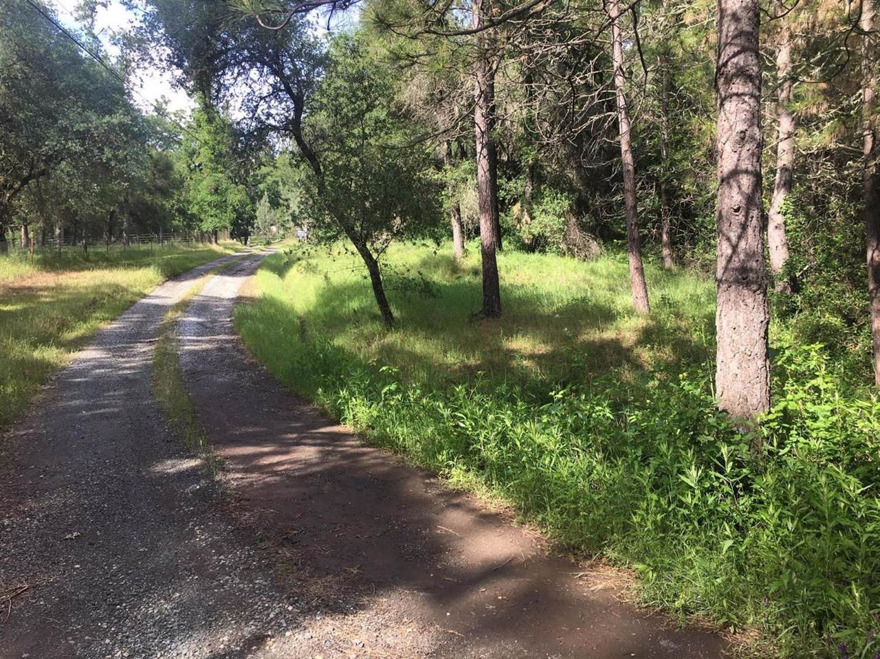 0 Ravine Road - Photo 1