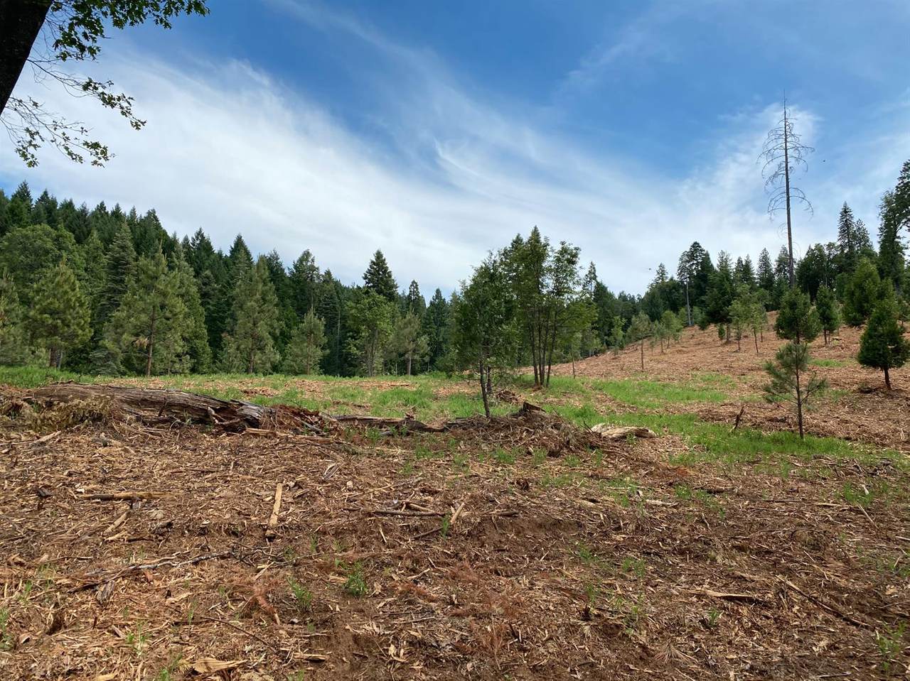 0 Highway 50 - Photo 1