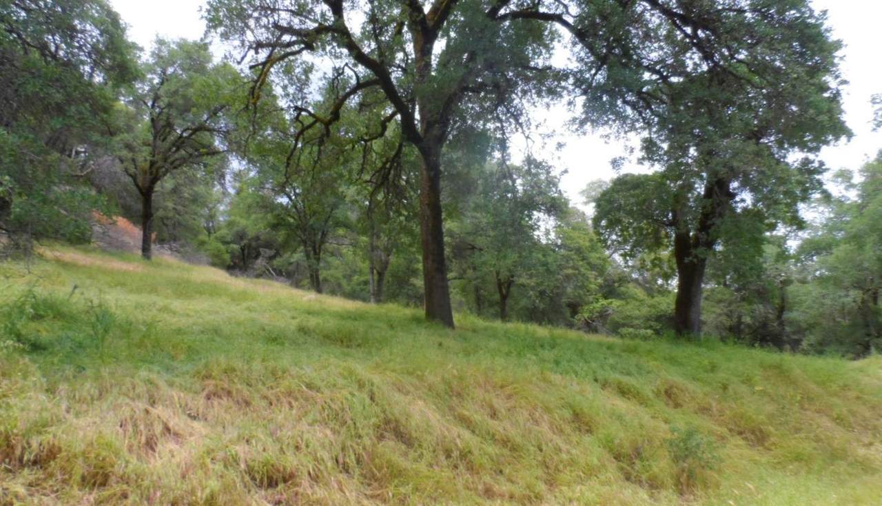 0 Raccoon Road - Photo 1