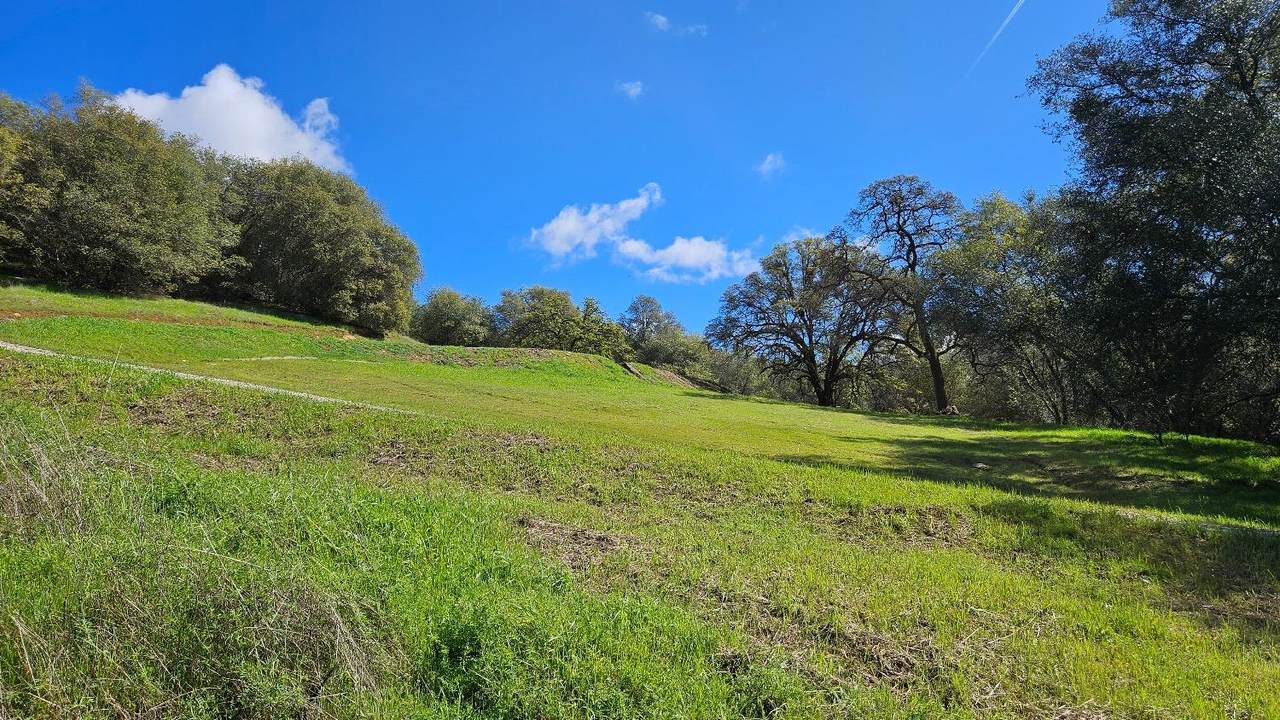 https://bt-photos.global.ssl.fastly.net/sacramento/1280_boomver_5_560820069-2.jpg