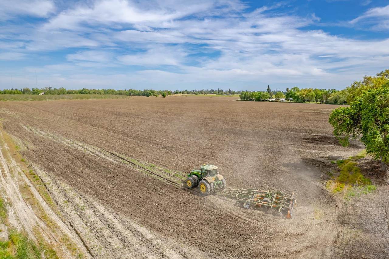 20660 Old River Road - Photo 1