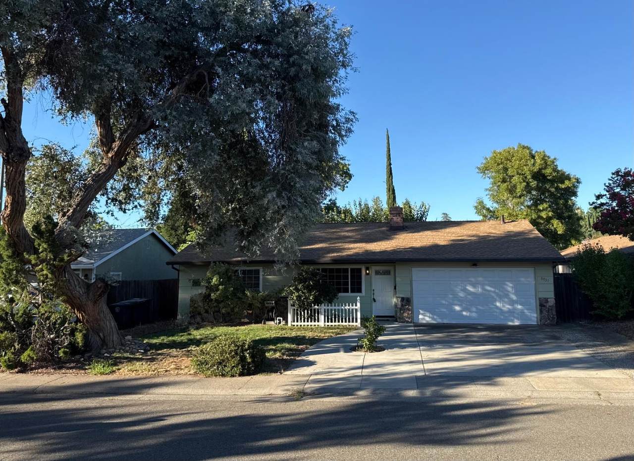 8037 San Cosme Drive - Photo 1