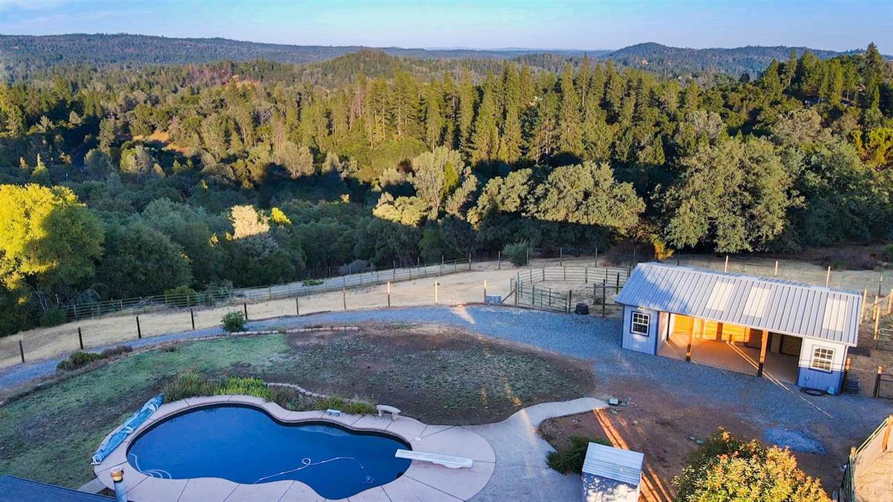 2231 Greenhorn Trail - Photo 1