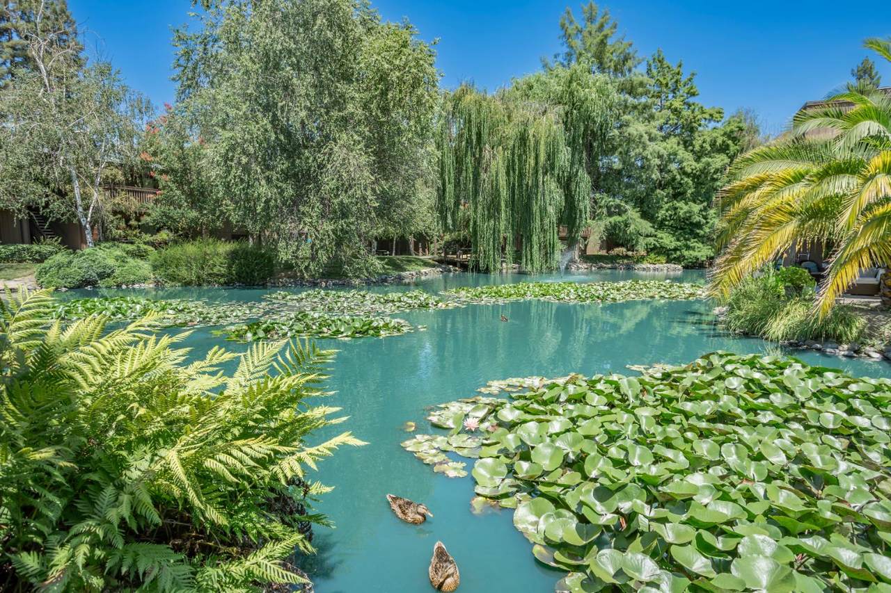 2424 Larkspur Lane - Photo 1