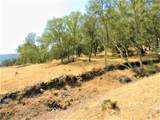 112 Union Mine Road - Photo 5