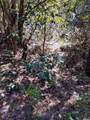 0 Moshiron Drive - Photo 11