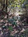 0 Moshiron Drive - Photo 5
