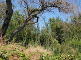 11330 Spud Island - Photo 7