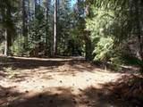 26311 Shake Ridge Road - Photo 4