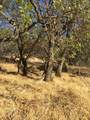 0 Ranch Camp Road - Photo 2