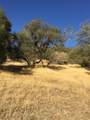 0 Ranch Camp Road - Photo 3