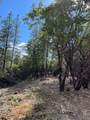 0 Loggers Trail - Photo 14