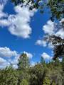 0 Loggers Trail - Photo 16