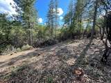 0 Loggers Trail - Photo 17
