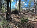 0 Loggers Trail - Photo 18