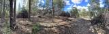 0 Loggers Trail - Photo 19