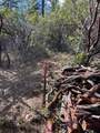 0 Loggers Trail - Photo 20