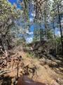 0 Loggers Trail - Photo 22