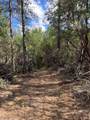 0 Loggers Trail - Photo 23