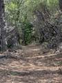 0 Loggers Trail - Photo 24