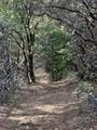 0 Loggers Trail - Photo 25