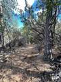 0 Loggers Trail - Photo 26
