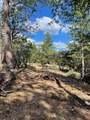 0 Loggers Trail - Photo 28