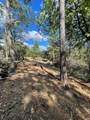 0 Loggers Trail - Photo 29
