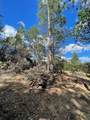0 Loggers Trail - Photo 30