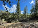 0 Loggers Trail - Photo 33