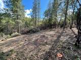0 Loggers Trail - Photo 34