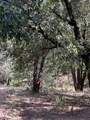 0 Loggers Trail - Photo 36
