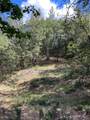0 Loggers Trail - Photo 39