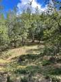 0 Loggers Trail - Photo 40
