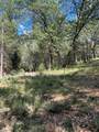 0 Loggers Trail - Photo 43