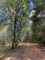 0 Loggers Trail - Photo 45