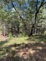 0 Loggers Trail - Photo 46
