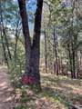 0 Loggers Trail - Photo 52