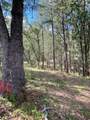 0 Loggers Trail - Photo 53