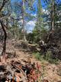 0 Loggers Trail - Photo 6