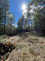 0 Loggers Trail - Photo 8