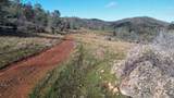 0 Blacks Creek Road - Photo 10